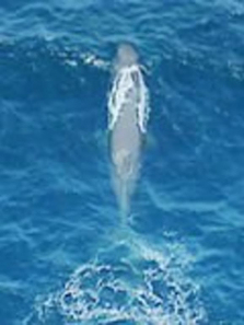 ��Խ������-��������ȫ��