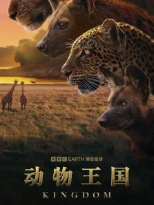 动物王国综艺海报