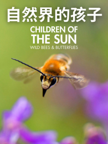 ��Ȼ��ĺ�������ȫ��