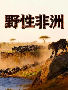 野性非洲综艺海报