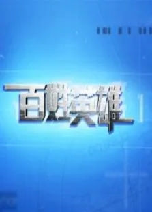 百姓英雄综艺海报