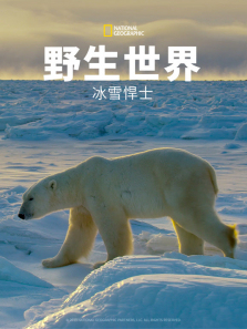 Ұ�������ѩ��ʿ����ȫ��