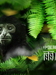 �й����������ؾ�����ȫ��