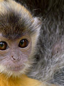 �����������Ⱥ������ȫ��