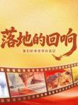 落地的回响综艺海报