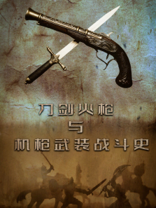 ������ǹ���ǹ��װս��ʷ����ȫ��