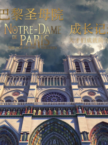 ����ʥĸԺ�ɳ���¼-����ǳɾ͵��漣����ȫ��