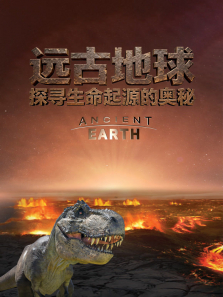 Զ�ŵ���:̽Ѱ������Դ�İ���