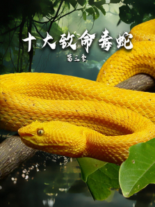 ʮ���������ߵ�3������ȫ��