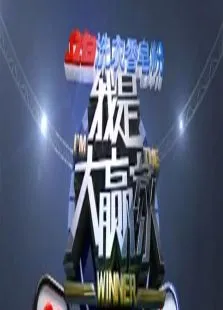 我是大赢家2012综艺海报