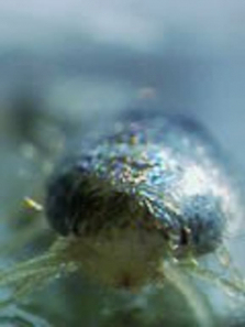 �������ļ���������ȫ��