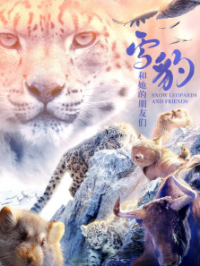 ѩ������������������ȫ��