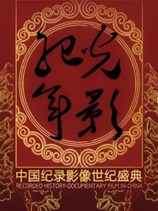 ��Ӱ����2013�й���¼Ӱ������ʢ������ȫ��