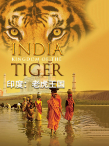 ӡ���ϻ���������ȫ��