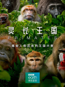 �鳤�������İ�����ȫ��