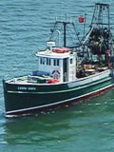 �����ص�������������ȫ��