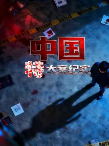 中国特大案纪实综艺海报