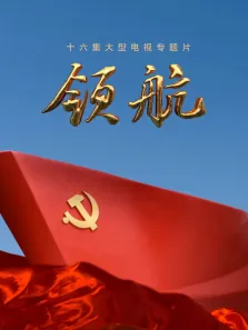 领航综艺海报