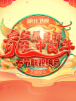 2024湖北春晚综艺海报