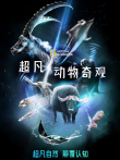 超凡动物奇观综艺海报