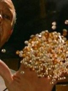 ��֤����ȫ��