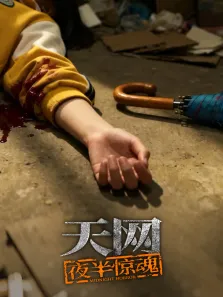 天网:夜半惊魂综艺海报