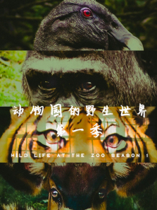 ����԰��Ұ�������1������ȫ��