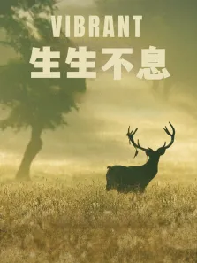 生生不息综艺海报