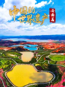 中国的世界遗产·云南篇综艺海报