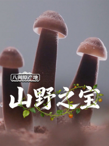 ����ԭ����ɽҰ֮������ȫ��