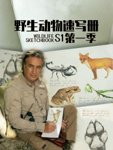 Ұ��������д������ȫ��