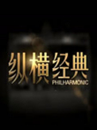 纵横经典综艺海报
