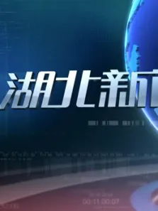 湖北新闻综艺海报
