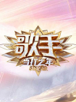 歌手综艺海报