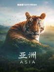 亚洲综艺海报