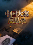 中国大案反思录综艺海报