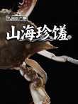 八闽原产地·山海珍馐综艺海报