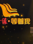 《等着我》精彩片段综艺海报