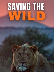 ����Ұ�������2������ȫ��