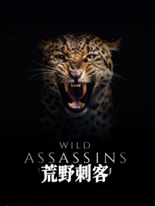 ��Ұ�̿͵�1������ȫ��