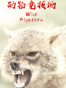 ���ﾺ����Ӣ�İ�����ȫ��