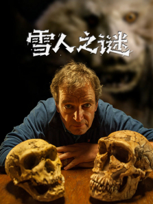 ѩ��֮������������ȫ��