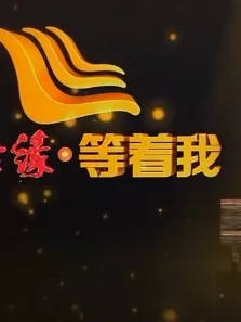 《等着我》精彩片段综艺海报
