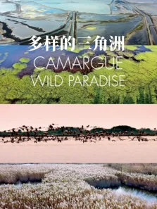 多样的三角洲 英文版综艺海报