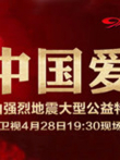 中国爱420芦山地震公益晚会综艺海报