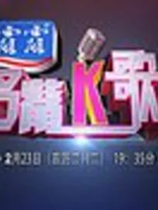 河北卫视全国名嘴K歌夜综艺海报