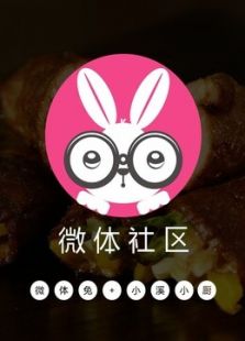 ��΢����+СϪС����