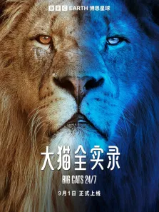 大猫全实录 中文版综艺海报