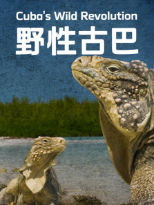 Ұ�ԹŰ�