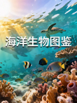 海洋生物图鉴综艺海报